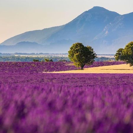 Joli T2 Jardin, Entre Mer/Verdon Салерн Екстериор снимка